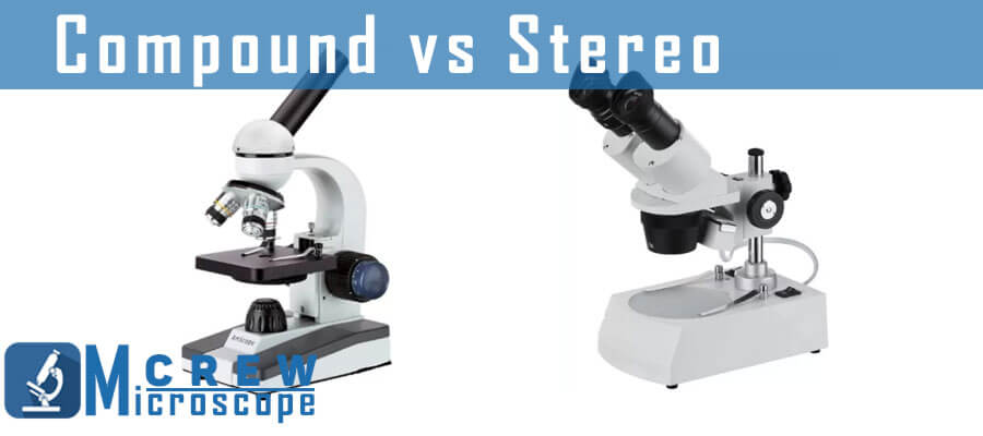 Difference between Compound and Stereo microscope