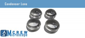 Types of Microscope Lenses [How they Work] - Microscope Crew