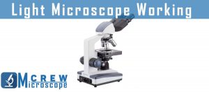 how does light microscope work