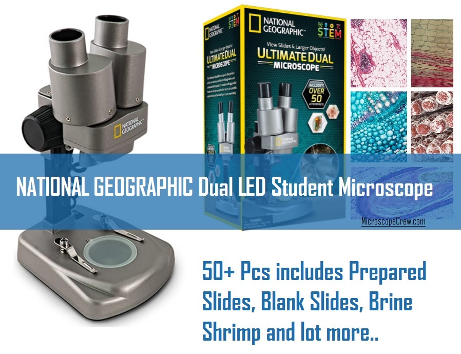 12 Best Microscopes for Students [ Expert's Review ] Microscope Crew