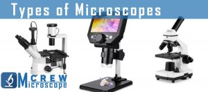 types of microscopes