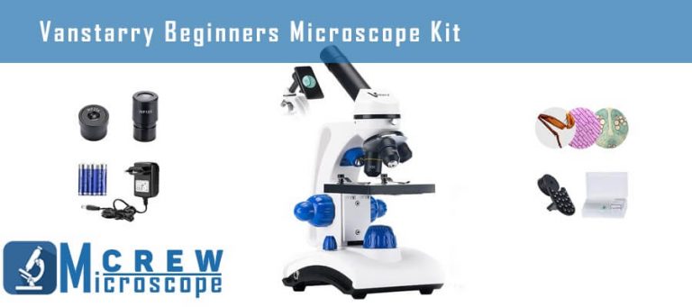 Best Microscope under $100 [ Multiple Usages ] - Microscope Crew