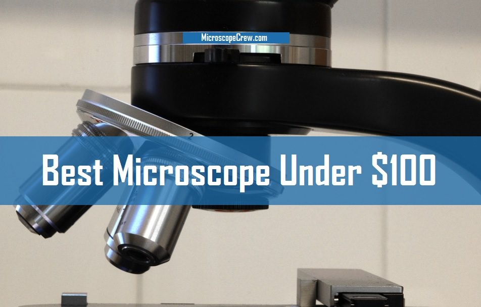 Best Microscope under 100 [ Multiple Usages ] Microscope Crew