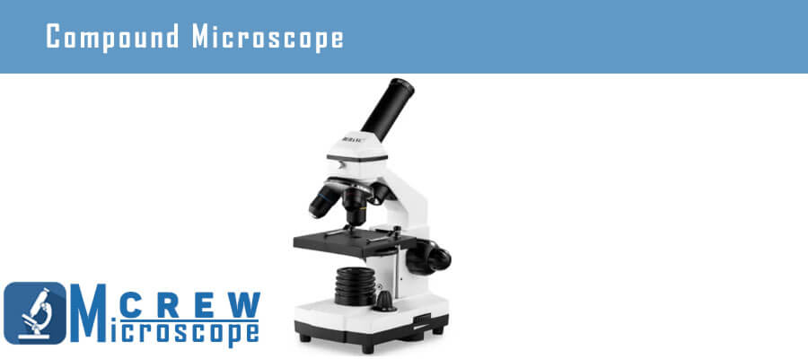 Compound-Microscopes