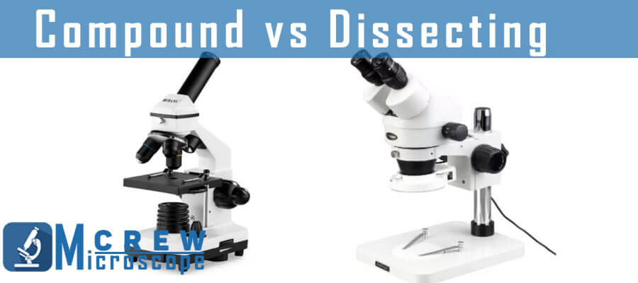 difference between compound an dissecting microscopes