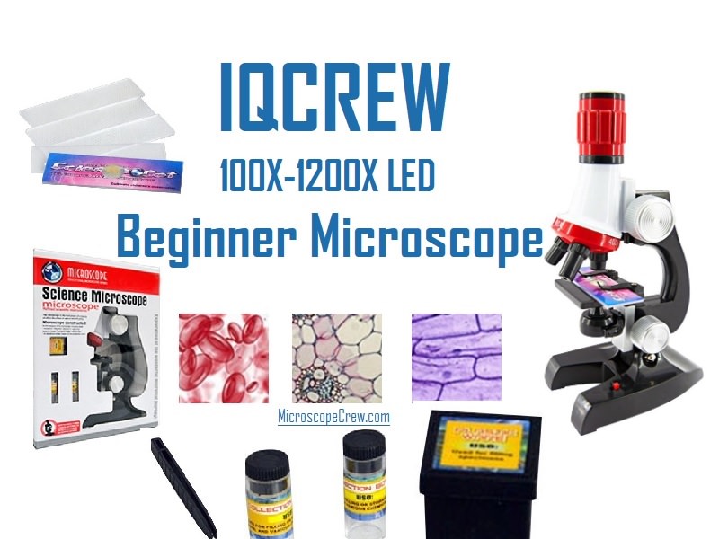 Best Microscope for 5 Year Old Children - Microscope Crew