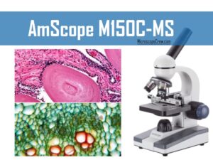AmScope-M150C-MS-Compound-Monocular-Microscope-review