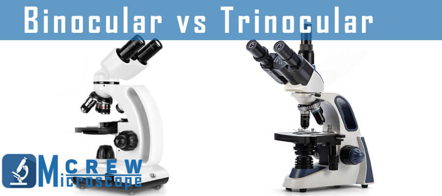 difference between binoculars and trinocular microscope