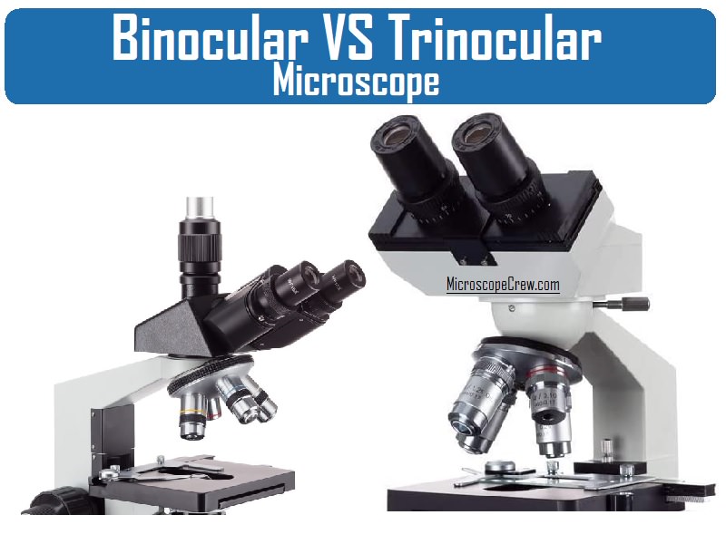 Difference between Binocular and Trinocular Microscope Microscope Crew