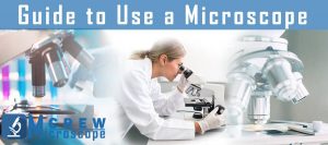 guide to use microscopes