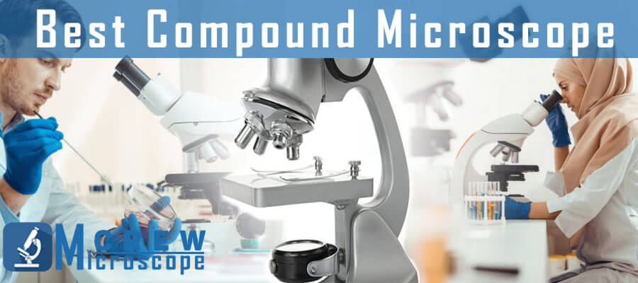 best compound microscopes