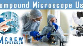 uses of compound microscopes