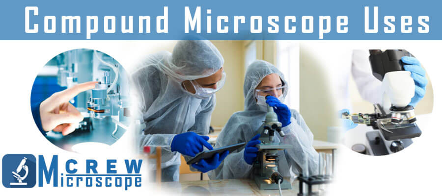 uses of compound microscopes