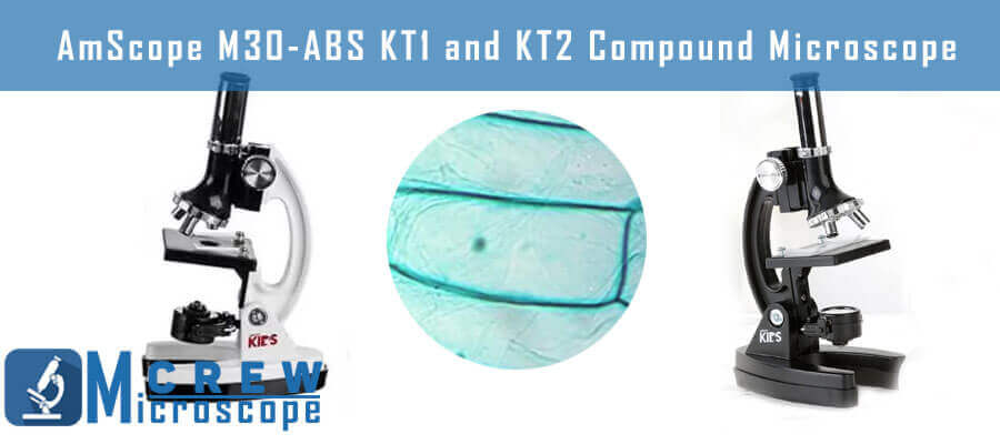AmScope-M30-ABS-KT1-and-KT2-Compound-Microscope