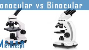 difference between monocular and binocular microscope
