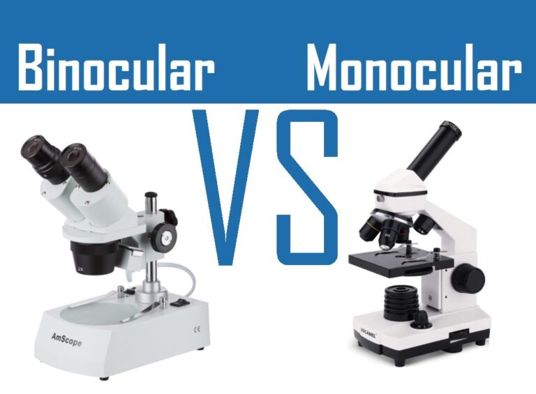 Blog Microscope Crew