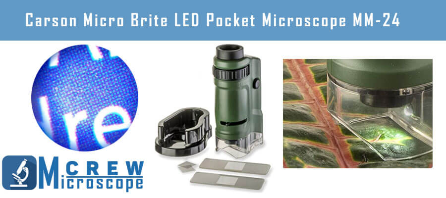 Carson MicroBrite LED Pocket Microscope MM 24