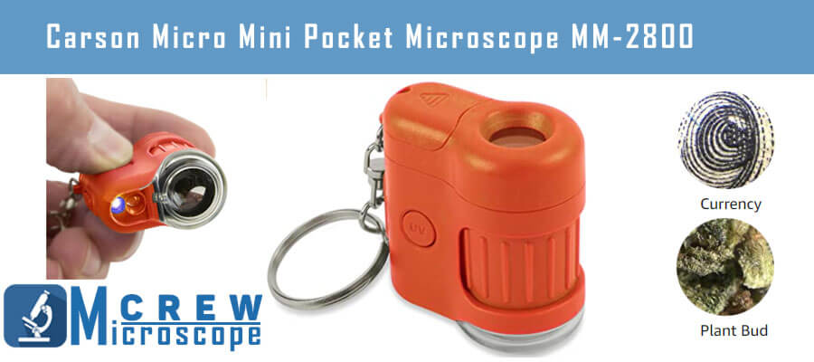 Carson MicroMini Pocket Microscope MM 280O