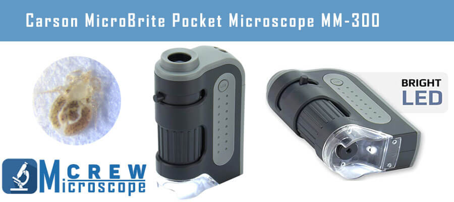 Carson MicroBrite Pocket Microscope MM 300