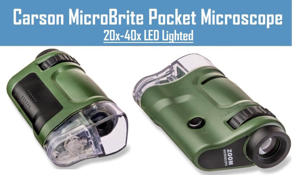 Best Pocket Microscope [ Guide and Reviews ] Microscope Crew