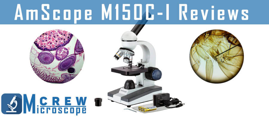 AmScope M150C I microscope Review