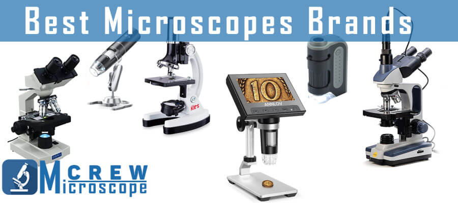 best microscope brands