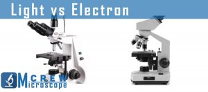 difference between light and electron microscope