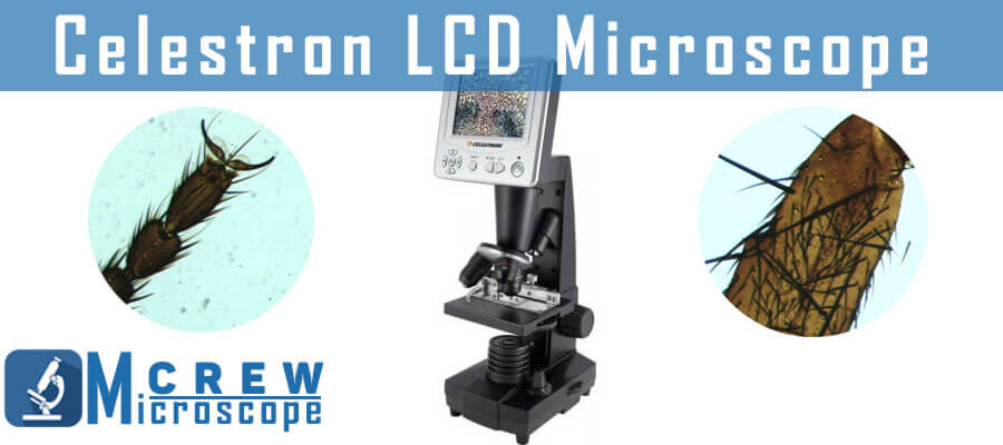 Celestron 44340 LCD Digital Biological Microscope