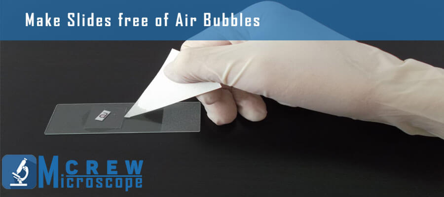 Making microscope slide free of air bubbles