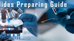 how to prepare microscope slides