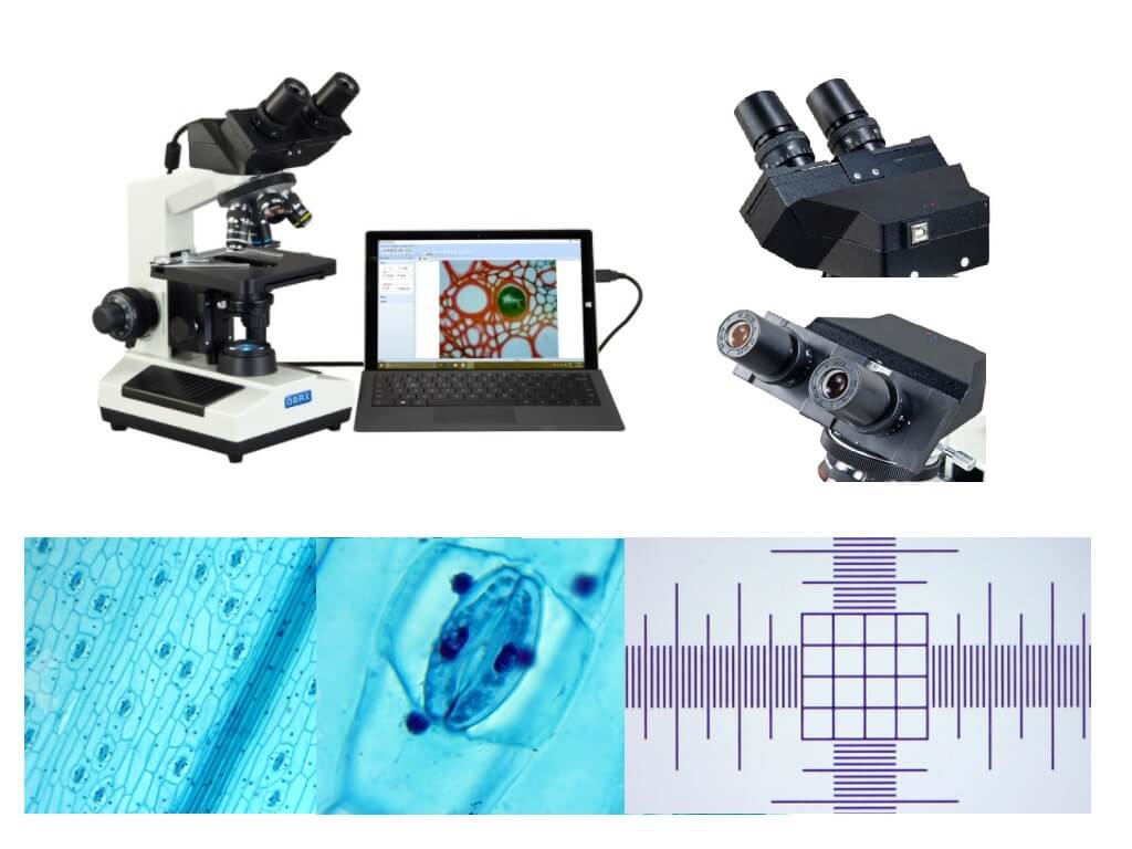 OMAX MD827S30L 3MP Camera 40X-2000X Digital Biological Compound Binocular LED Microscope