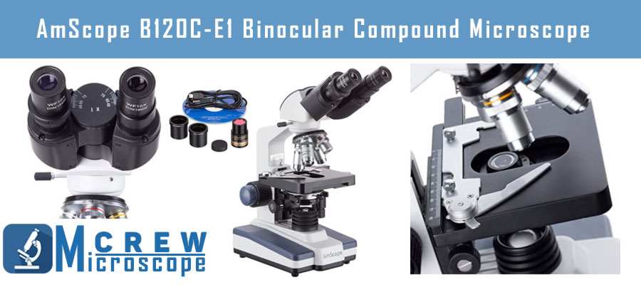 AmScope-B120C E1 Binocular Compound Microscope