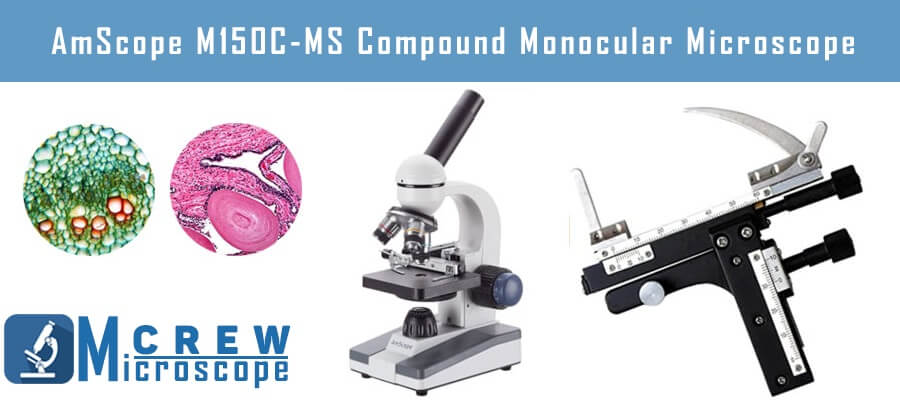 AmScope M150C MS Compound Monocular Microscope