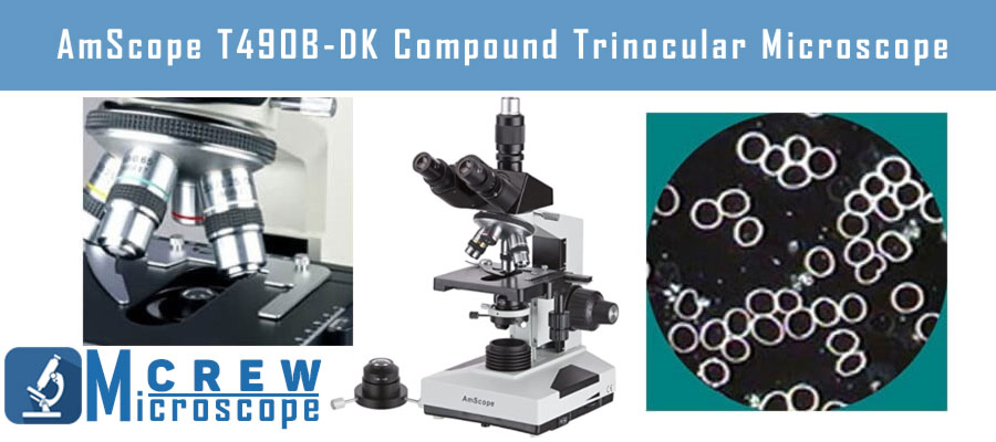 AmScope T490B-DK Compound Trinocular Microscope