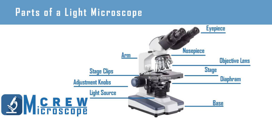 different parts in light microscope
