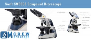 Best Microscopes for Microbiology [Biological Microscopes] - Microscope ...