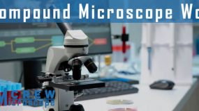 Compound-Microscope-Work