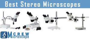 Best-Stereo-Microscopes