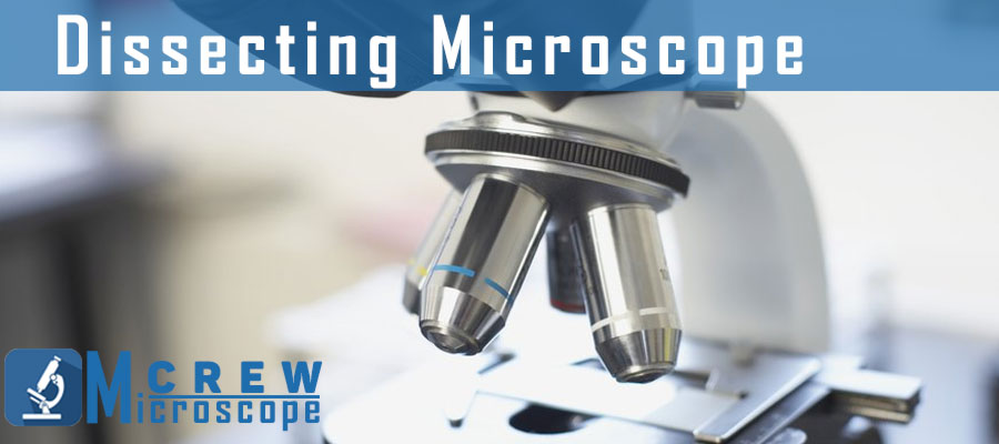 Dissecting-Microscope