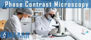 Phase-Contrast-Microscopy