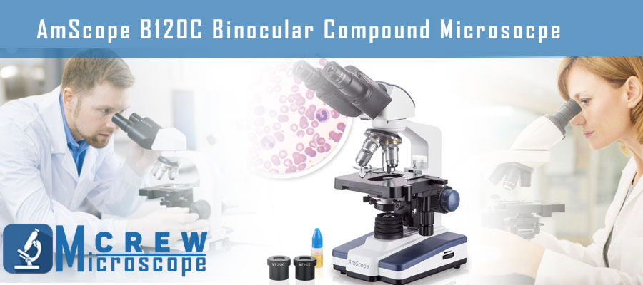 AmScope-B120C-Binocular-Compound-Microsocpe