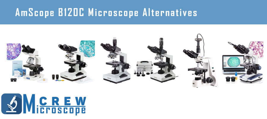 AmScope-B120C-Microscope-Alternatives