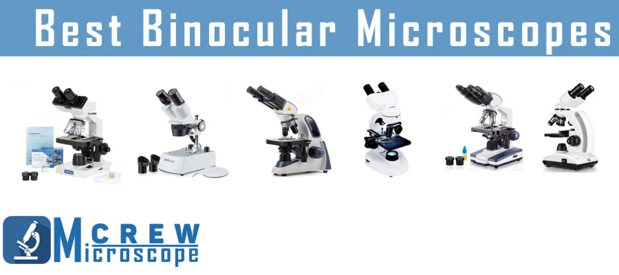 Best Binocular Microscopes - Microscope Crew
