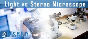 Light-vs-Stereo-Microscope