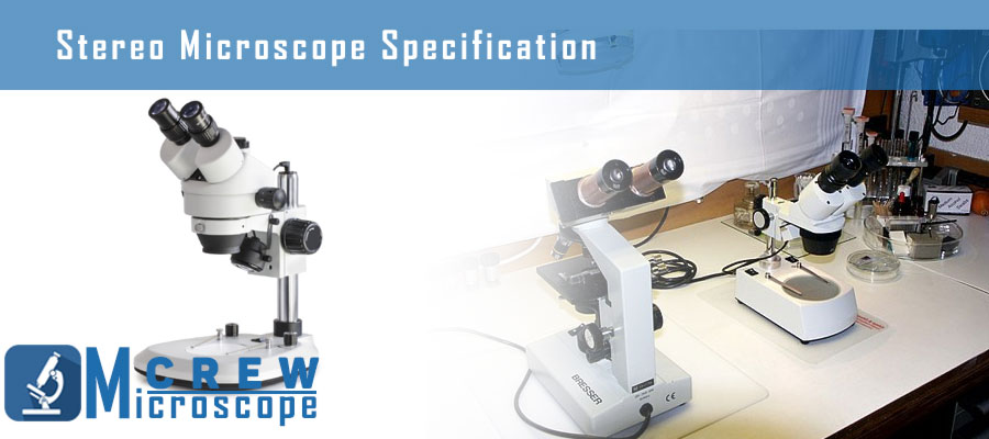 Stereo-Microscope-Specification