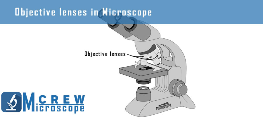 Objective-lenses-in-Microscope