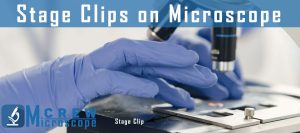 Stage-Clips-on-Microscope