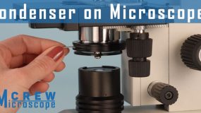 Condenser-on-Microscopes