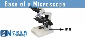 what does microscope base do