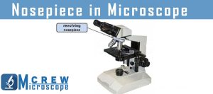 Nosepiece-in-Microscope